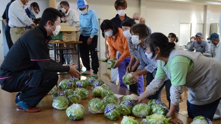 レタス目ぞろえ会（北つくば農協）