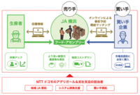 ＪＡ横浜と実需者が農産物取引プラットホームを活用　「地元を食べよう」実証プロジェクト実施イメージ