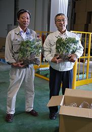 震災の時に受けた恩返し　イチゴの苗で　ＪＡみやぎ亘理