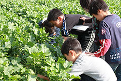 体験型農園に本腰 ＪＡ全中が取組方針