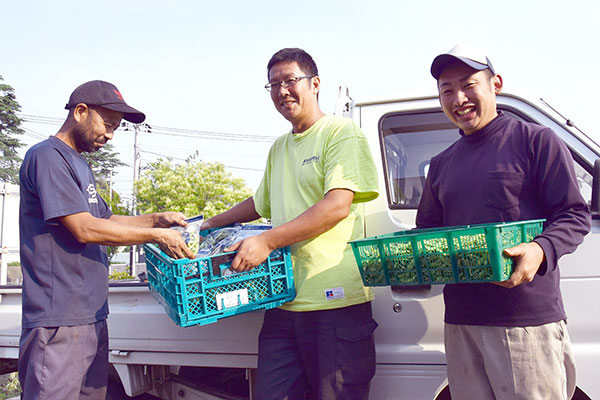 枝豆の出荷に忙しい出荷組合のメンバー