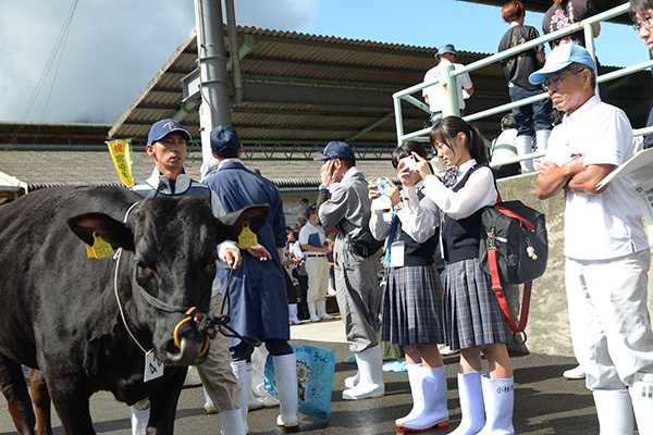 第61回宮崎県畜産共進会を見学