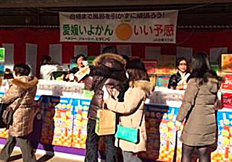 受験生を「いよかん」で激励　ＪＡ全農えひめ