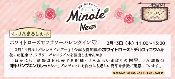 ホワイトローズでフラワーバレンタイン　ＪＡ全中・ミノーレ