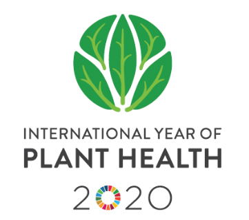 ＪＡ全農「国際植物防疫年2020」オフィシャルサポーターに認定