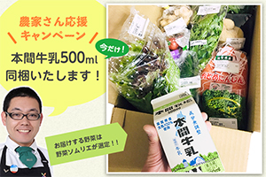 『野菜ソムリエチョイス　近江の野菜BOX（ノーマル）』＋本間牛乳500ml