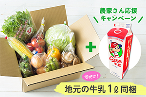 『とれたて元気市の「広島県産 野菜BO X」8品入り』＋カープ牛乳1