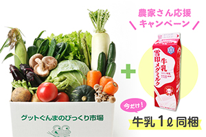 『～採れたて ～選べる 野菜ボックス＜7品＞』＋雪印メグミルク牛乳1ℓ