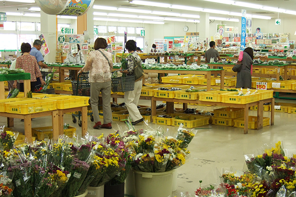 明るくて広い愛菜館の店内