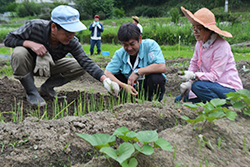 ＪＡのＯＢ職員が指導