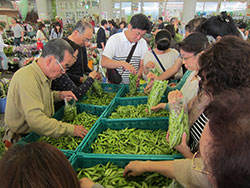 地域農業活性化の推進役「めっけもん広場」