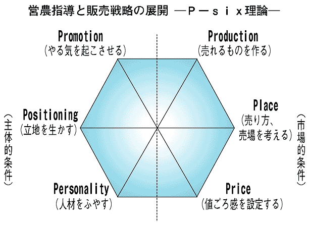 Ｐ－ｓｉｘ理論