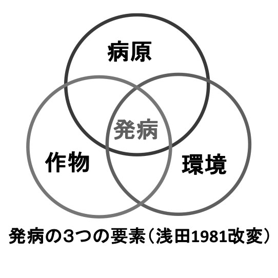 発病の3つの要素