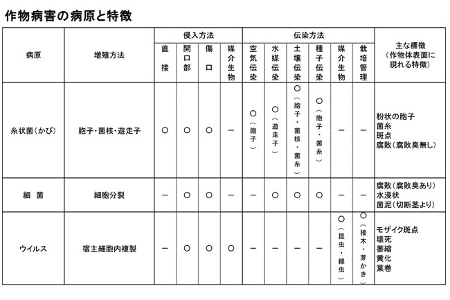 作物病害の病原と特徴