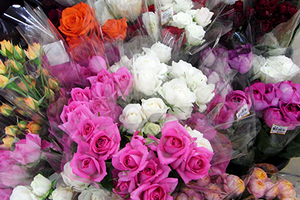 ＪＡひまわり販売事業の２割以上を占めるのは花卉。色とりどりのバラや菊がグリーンセンターの店頭に並ぶ。
