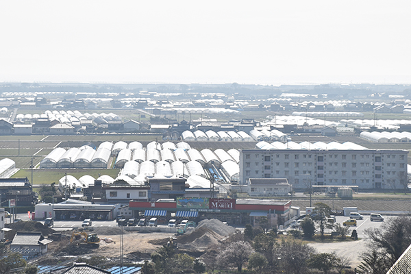 干拓地に広がるハウス