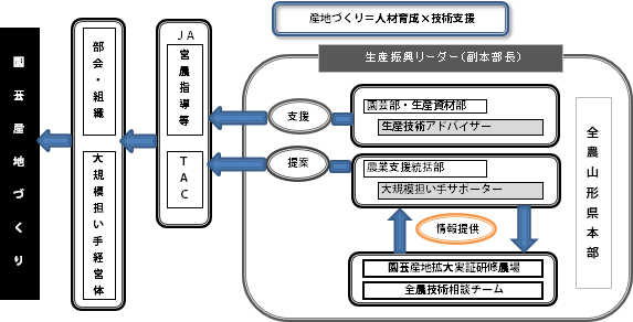 園芸産地づくりのための人材育成プランと生産振興支援体制