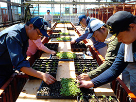 植物から学ぶことが多い