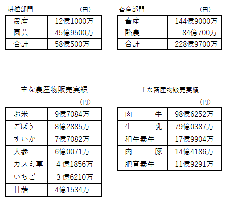 ＪＡ菊池_販売実績表