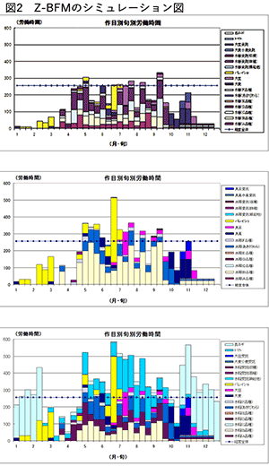 Z-BFMのシミュレーション図