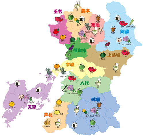 熊本県内主要作物アップ　29年度販売実績774億円（ＪＡ熊本経済連取扱高　※青果物のみ）