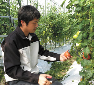 若い担い手に期待　【熊本特集（3）ＪＡやつしろ】