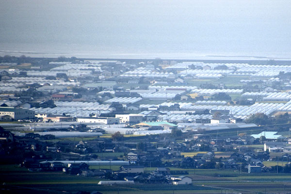 八代平野のハウス群　【熊本特集（3）ＪＡやつしろ】