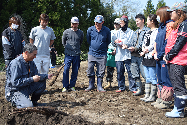 ＪＡ十和田おいらせは将来の地域農業を支える担い手育成に力を入れナガイモ、ニンニク、ゴボウなどで「育成塾」を開講している。写真は「ながいも育成塾」の現地講習会。地域の