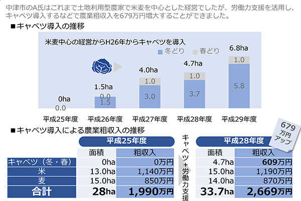 図5　労働力支援による農家所得増大の事例　キャベツ生産者A氏の事例（大分県中津市）