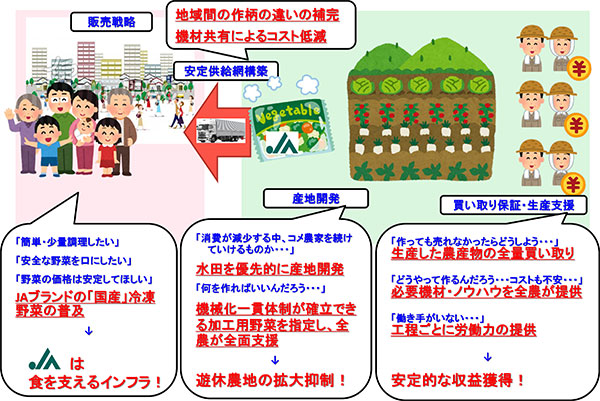 冷凍野菜産地開発のイメージ