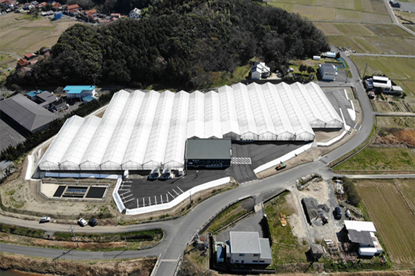 新技術を駆使した野菜工場