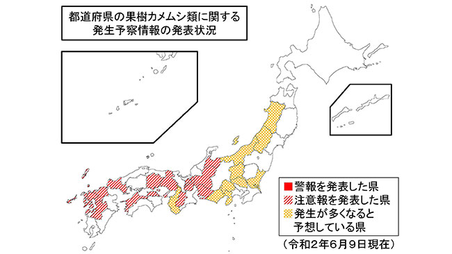 都道府県の果樹カメムシ類に関する発生予察情報の発表状況