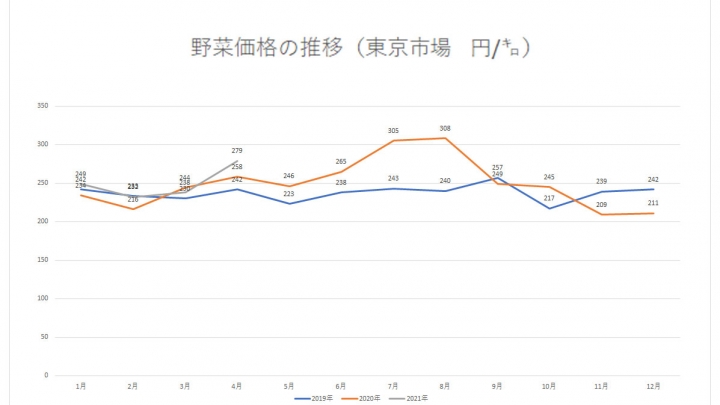 野菜市況低迷続く　出荷谷間で回復も一時的