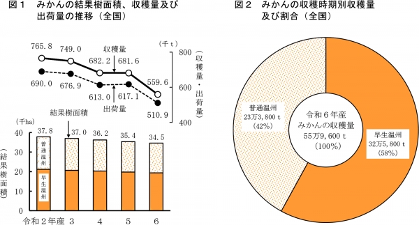 みかんの結果樹面積、収穫量及び出荷量の推移（全国）とみかんの収穫時期別収穫量及び割合（全国）