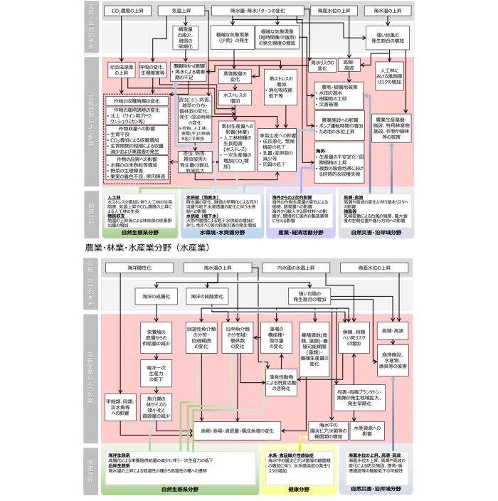 米は白未熟粒増え、乳牛は乳量が減り、ミカン産地は大幅減　環境省が「気候変動影響評価報告書」　自給率向上の重要性示唆