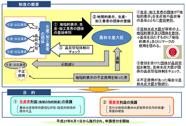 制度の概要