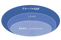 日本国内のＧＡＰの関係性を図にしたもの