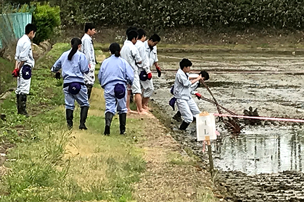 今、農業高校が輝いている　金足農高の活躍で弾み