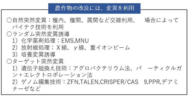 農作物の改良には、変異を利用