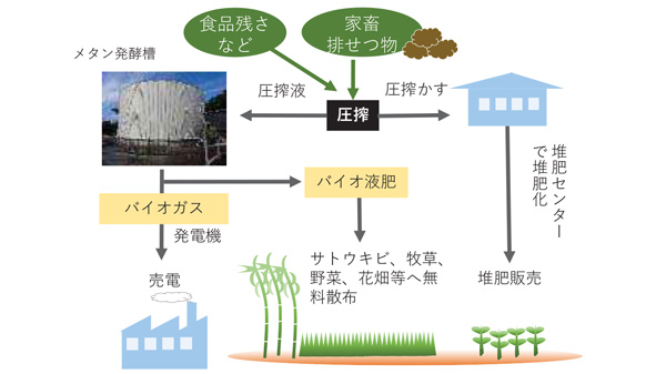 耕畜連携を強化　資源循環型農業を促進　沖縄県　みどり戦略基本計画