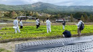 スマート農業でグリーン栽培へ転換　岐阜県　みどり戦略基本計画