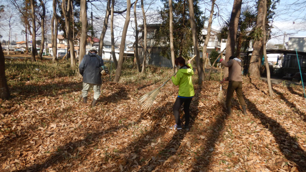 落ち葉さらいの作業