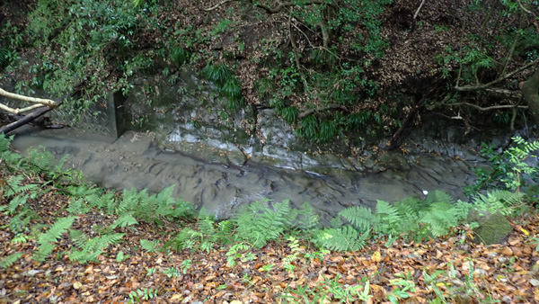 田んぼの水源にもなっている銘川。この上流でメガソーラー開発が進む。