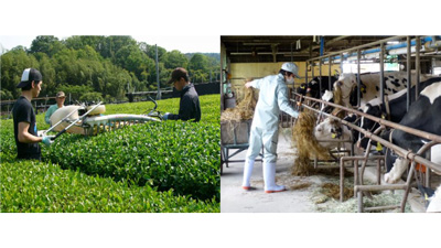京都で畜産や宇治茶生産の担い手に「就農セミナー＆相談会」開催　京都府