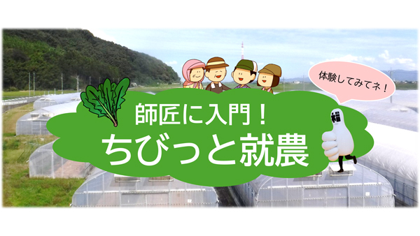 ホウレンソウ農家に入門「3日間の就農体験」参加者募集中　福井市.jpg