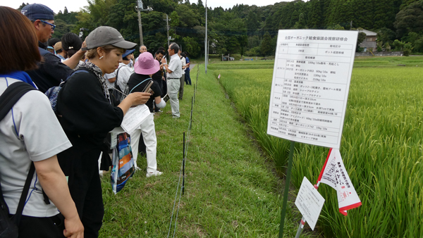 すべての給食に有機米　先進地・千葉県いすみ市で現地視察　オーガニック給食協議会