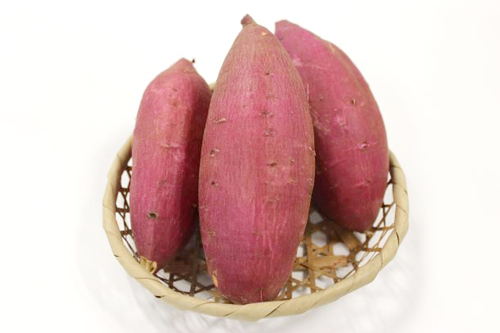 生産量が安定しており、栄養価も高いサツマイモは横浜市も生産に力を入れている。