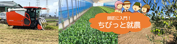 プロ農家が教える3日間　田植え体験希望者を募集福井県福井市