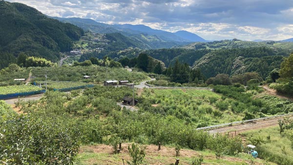 愛媛県内子町の農地