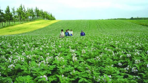 改正植物防疫法　4月1日施行　発生予防へ「総合防除」推進　農水省